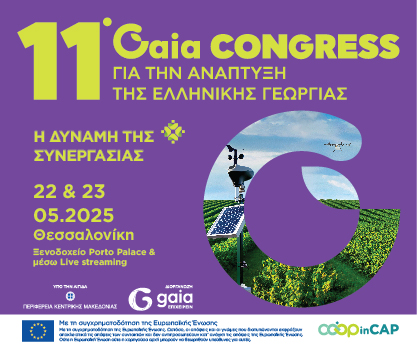 GAIA EPIXEIREIN 2025 (1)