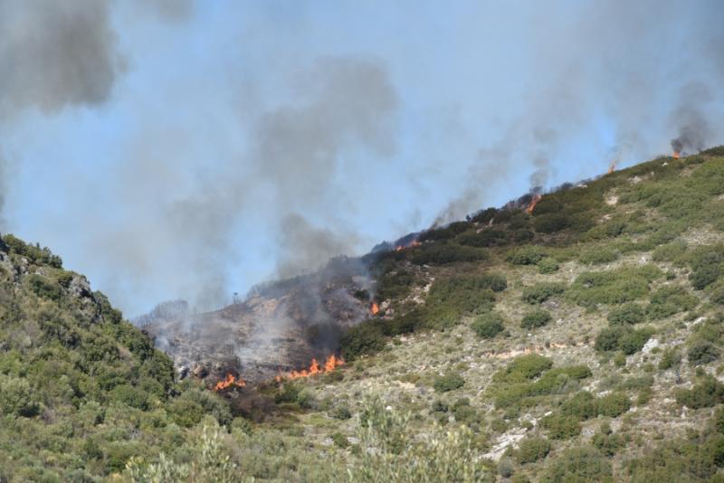 Οι περιοχές της Ελλάδας όπου υπάρχει μέσος κίνδυνος πυρκαγιάς σήμερα