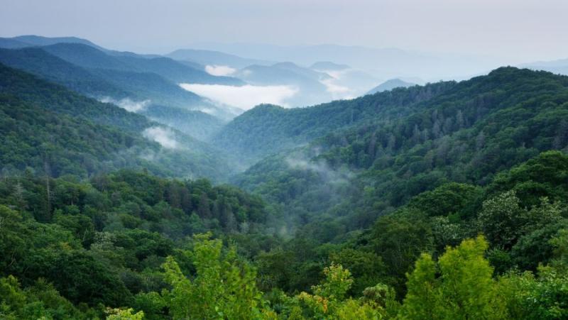 Νέες ενημερωτικές εκδηλώσεις του ευρωπαϊκού έργου BEST στο Δήμο Ήλιδας