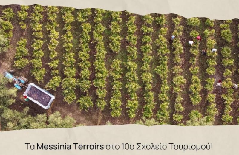 Τα Messinia Terroirs συμμετέχουν στο 10ο Σχολείο Τουρισμού στην Καλαμάτα!