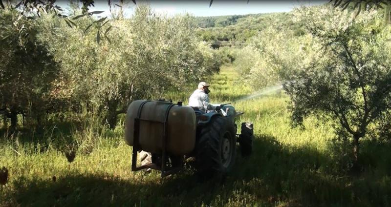 Πρόγραμμα δακοκτονίας Πέμπτη 14 Σεπτεμβρίου