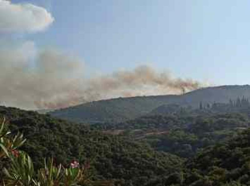 Μαίνεται σε μεγάλη έκταση και απειλεί χωριά η φωτιά πάνω από το Πεταλίδι (Φωτογραφίες)