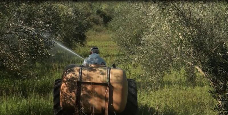 Πρόγραμμα δακοκτονίας Πέμπτη 24 Αυγούστου