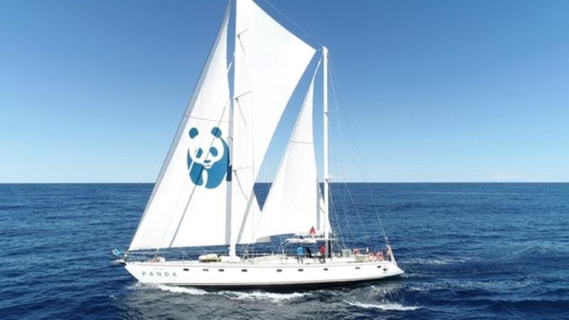 Στη Ζάκυνθο φθάνει αύριο το ιστιοπλοϊκό σκάφος «Blue Panda» του WWF