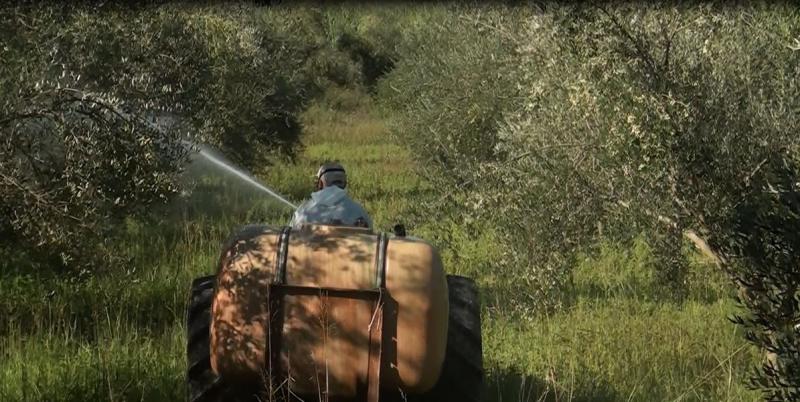 Πρόγραμμα δακοκτονίας Παρασκευή 5 Αυγούστου