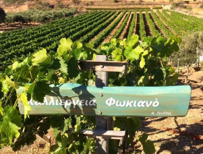 Στα καλύτερα ελληνικά κρασιά ο οίνος των Λειψών