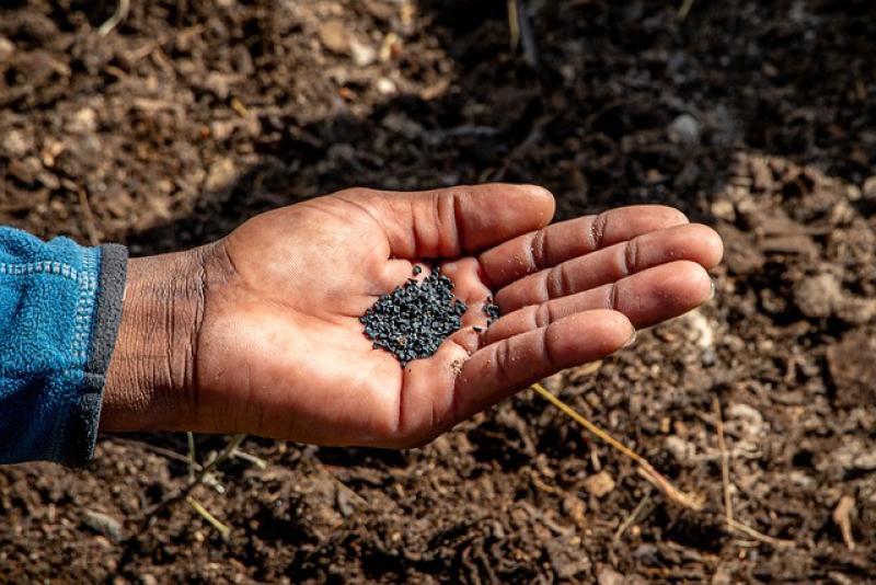 Αραχωβίτης: Πως αποκλείονται πολλοί αγρότες από αποζημιώσεις ΚΟΕ για τις ζημιές του 2019