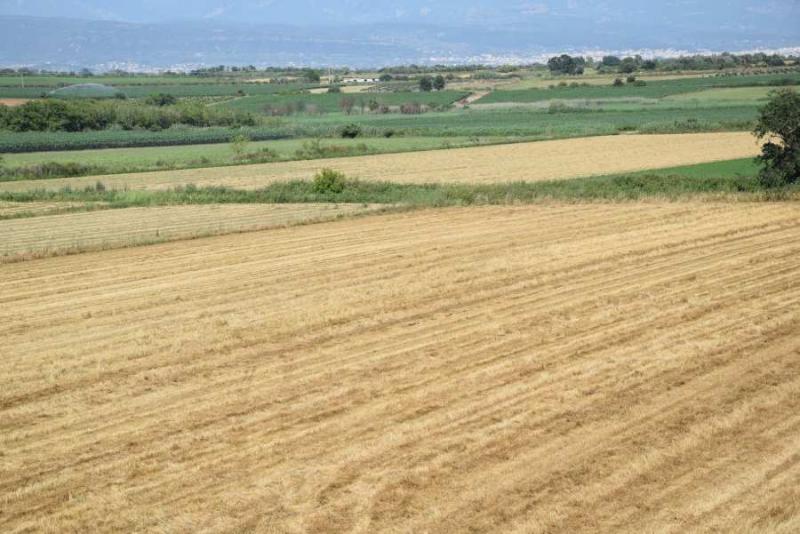 Νέες καλλιέργειες και καινοτομίας στον αγροτικό τομέα αναζητούν στη Θεσσαλία