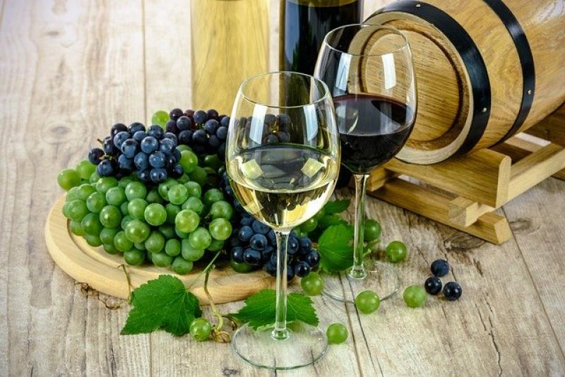 Γαλλία: Η παραγωγή οίνου αναμένεται να είναι μειωμένη κατά 29% φέτος σε ιστορικά χαμηλά επίπεδα