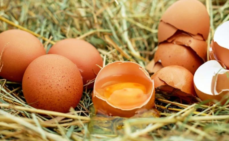 Σέρρες: Πτηνοτροφική μονάδα παράγει αυγά με... φασκόμηλο