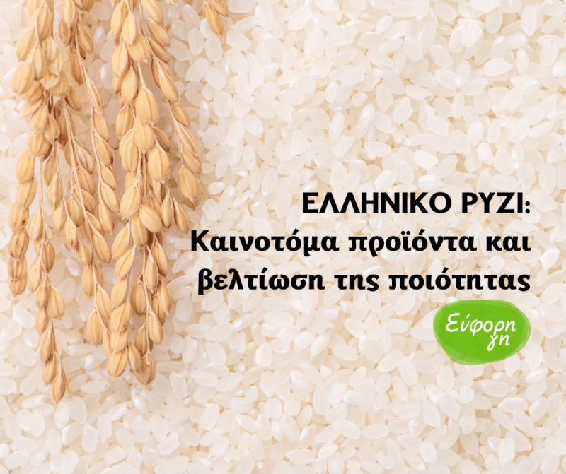 ΕΛΛΗΝΙΚΟ ΡΥΖΙ: Καινοτόμα προϊόντα και βελτίωση της ποιότητας