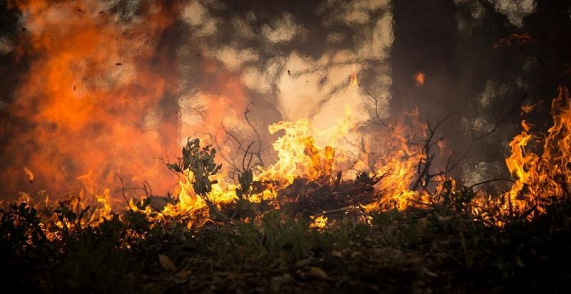 Τέρμα από αύριο οι φωτιές στην ύπαιθρο