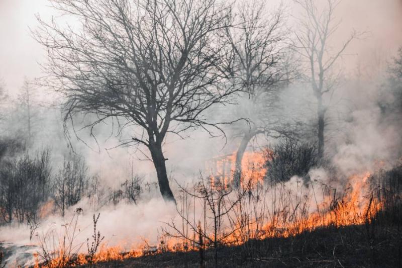 Προκαταβολή αποζημίωσης για πληγείσες εκμεταλλεύσεις από τις πυρκαγιές του Αυγούστου 2021