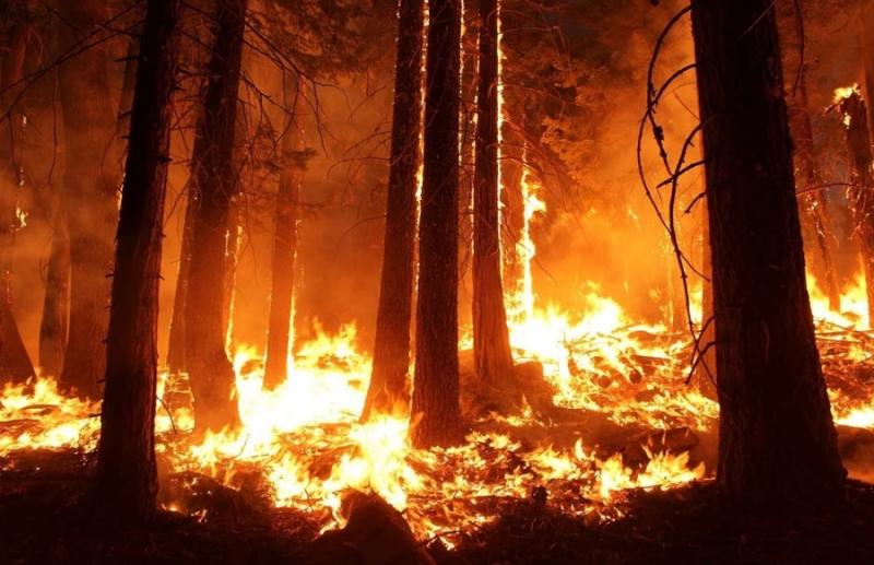 Συνηθισμένο φαινόμενο οι πυρκαγιές στην Αυστραλία, προειδοποιούν οι επιστήμονες