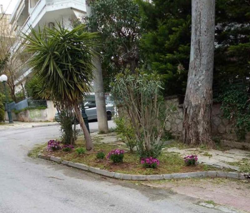 Με εποχικά λουλούδια δίνουν χρώμα σε κοινόχρηστους χώρους του Δήμου Λυκόβρυσης - Πεύκης!