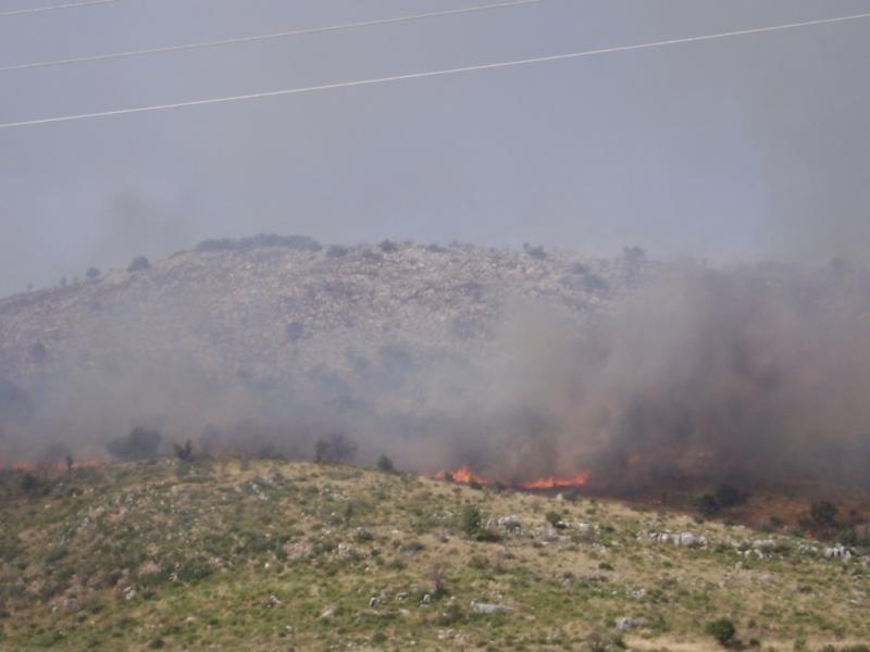 Καλαμάτα: Σε εξέλιξη η φωτιά στην περιοχή Μέλπεια - Έχουν εκκενωθεί συνολικά εννέα κοινότητες