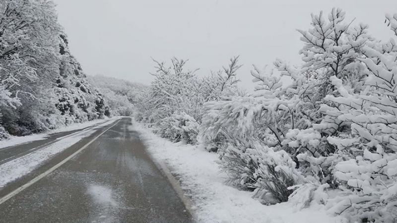 ΕΜΥ: Μία από τις εντονότερες των τελευταίων 40 ετών η χιονόπτωση που έπληξε τη χώρα