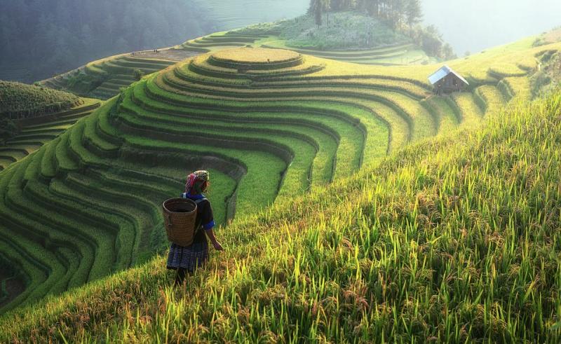 Κίνα: Αύξηση 0,9% καταγράφηκε στις τιμές αγροτικής παραγωγής