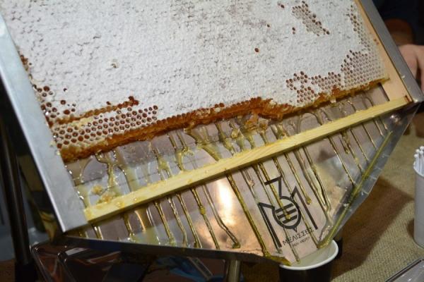 Σπάνια μέλια και νέα προϊόντα στο «9ο Φεστιβάλ Ελληνικού Μελιού &amp; Προϊόντων Μέλισσας»