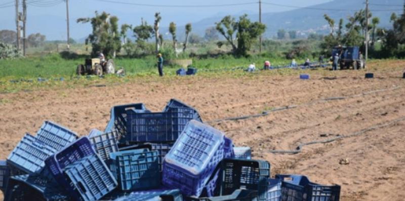Τα υπέρ και τα κατά της πανδημίας στην αγροτική παραγωγή: Πατάτα
