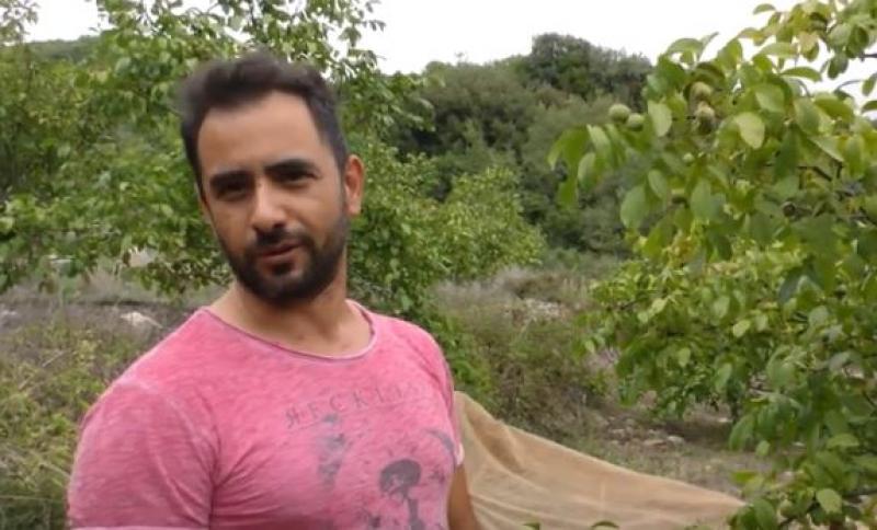 Έχει μέλλον η καλλιέργεια καρυδιάς - Το παράδειγμα του Μεσσήνιου Τάσου Πουλόπουλου (Βίντεο)
