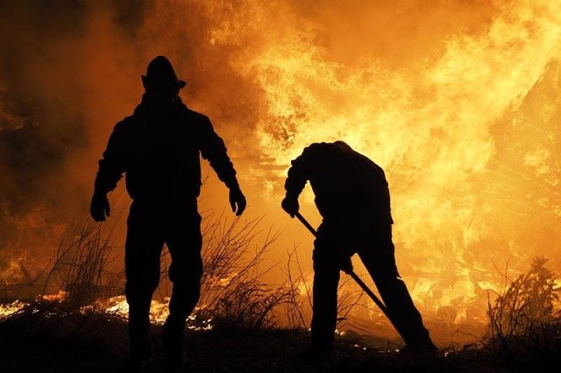 Φωτιά σε δασική περιοχή στην Καστανιά Λακωνίας