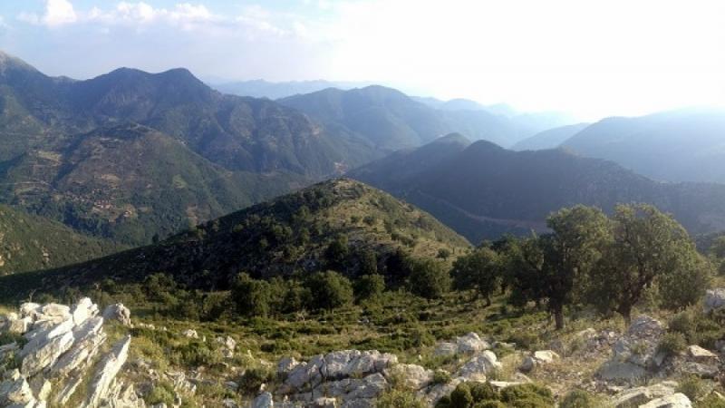 Πεζοπορία από το χωριό Αμπελιώνα έως το ναό του Επικούριου Απόλλωνα την Κυριακή 8 Δεκεμβρίου