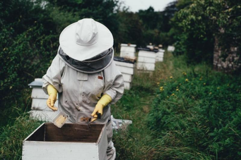 Υποχρεωτική η εγγραφή των μελισσοκόμων στο μητρώο του νομού τους