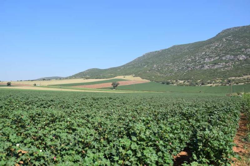 &quot;Για μια μεσογειακή γεωργική πολιτική&quot;