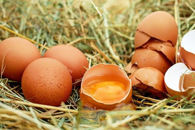 Συστήνεται Εθνική Διεπαγγελματική Οργάνωση Αυγού