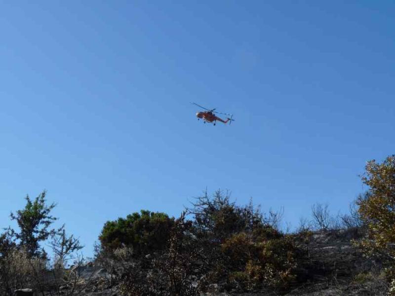 Σε ύφεση η πυρκαγιά στις Κεχριές Κορινθίας