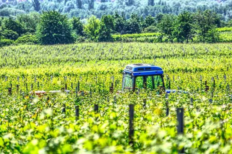 Τεχνολογική και παραγωγική αναβάθμιση της αγροτικής παραγωγής στις προτάσεις ΓΣΕΒΕΕ για τη στήριξη της αγροδιατροφής