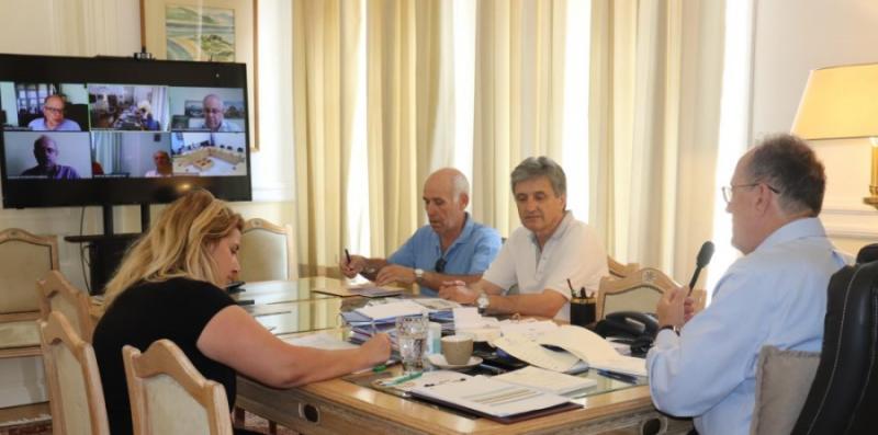 Ανησυχητικές διαπιστώσεις για την ελαιοπαραγωγή στη σύσκεψη του περιφερειάρχη Π. Νίκα με τους διευθυντές των ΔΑΟΚ