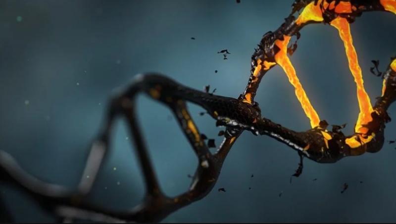 «Τσίχλα» 5.700 ετών αποκαλύπτει το DNA και το πρόσωπο μιας προϊστορικής Σκανδιναβής