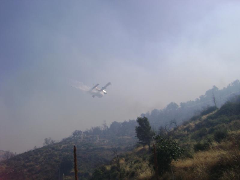 Χιλιάδες ελαιόδεντρα, σταφιδάμπελα και σπίτια καμένα στη Μεσσηνία - Ολοκληρώθηκε η αυτοψία