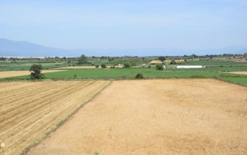 Στ. Αραχωβίτης: «Οι προτάσεις μας τώρα δικαιώνονται»