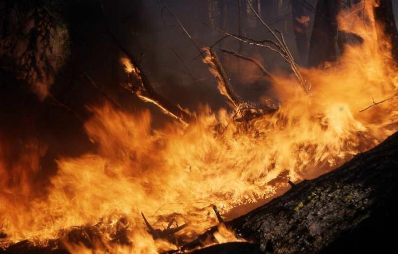 Εκκενώθηκε οικισμός λόγω της μεγάλης φωτιάς στη Μεσσηνία