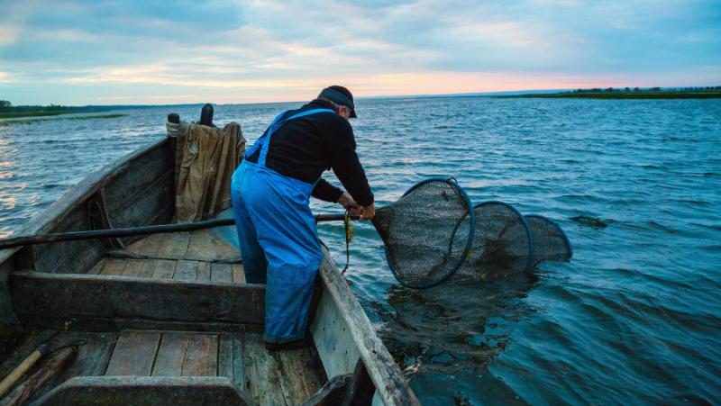 ΔΑΟΚ Μεσσηνίας: Οδηγίες για τη εμπορία χελιού και φούσκας