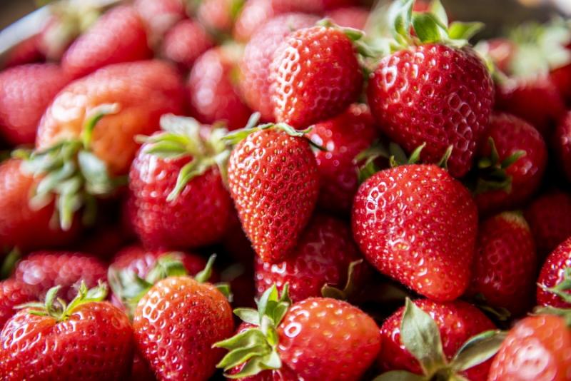 Φράουλα και ελιά στις διεθνείς αγορές μέσω ευρωπαϊκών προγραμμάτων