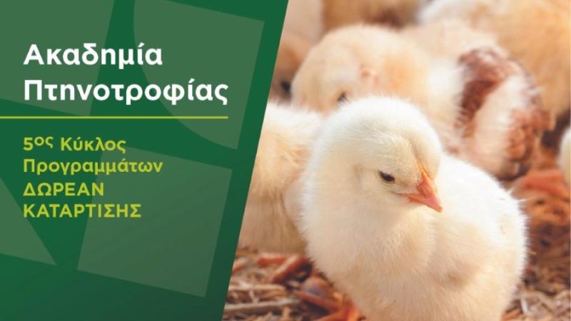 Νέα Γεωργία Νέα Γενιά: Παράταση αιτήσεων για την Ακαδημία Πτηνοτροφίας