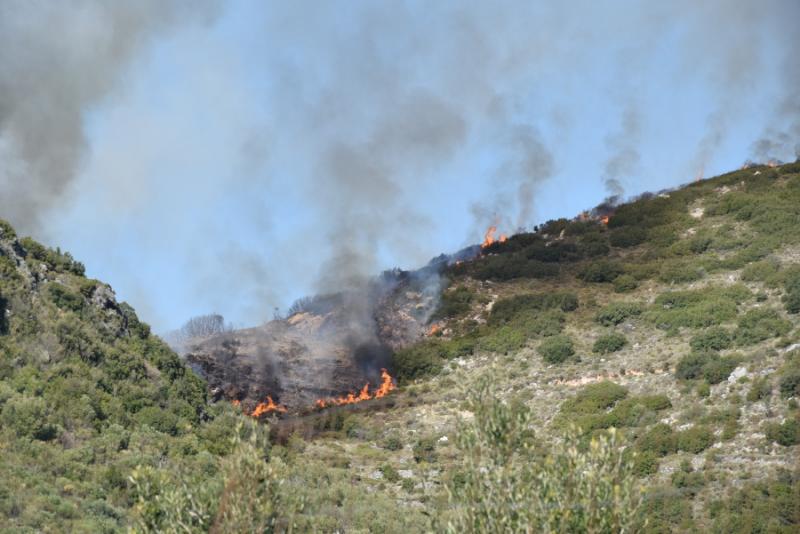 Σε εξέλιξη οι πυρκαγιές σε Μεσσηνία και Λακωνία