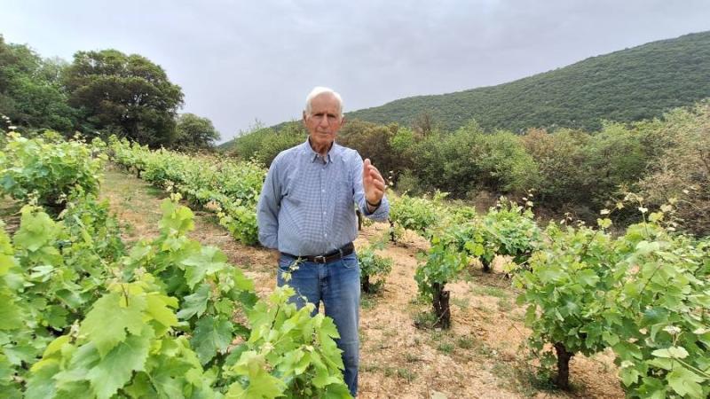 94χρονος σκαρφαλώνει στις ελιές και καλλιεργεί αμπέλια (Βίντεο)