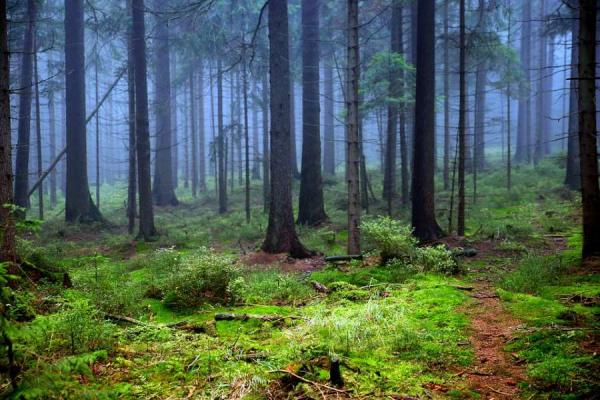 Συγκέντρωση διαμαρτυρίας αύριο στο υπουργείο Περιβάλλοντος