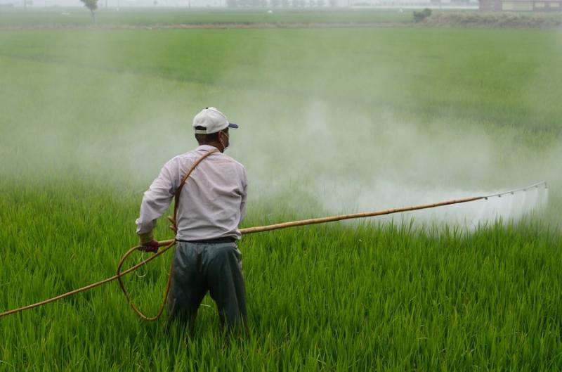 Εγκρίθηκε η «άδεια των 120 ημερών» για διάθεση φυτοπροστατευτικών προϊόντων σε περιπτώσεις ανάγκης