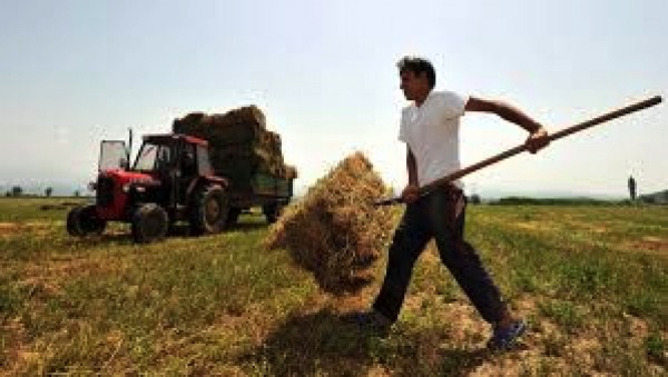 Απάντηση για την υποχρεωτική παραμονή αγροτών στο κανονικό καθεστώς ΦΠΑ