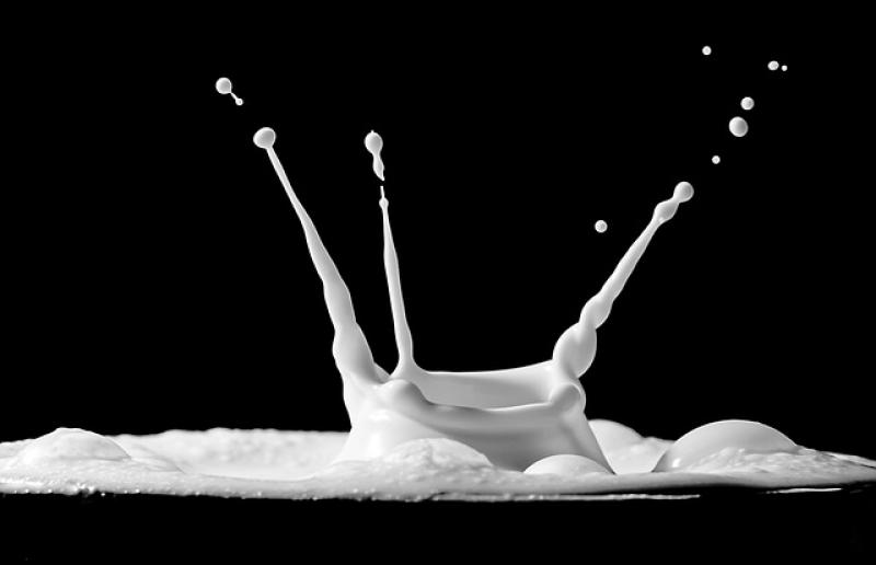 Τα αποτελέσματα των ελέγχων ποιότητας γάλακτος βλέπουν οι παραγωγοί μέσω του συστήματος «ΑΡΤΕΜΙΣ»