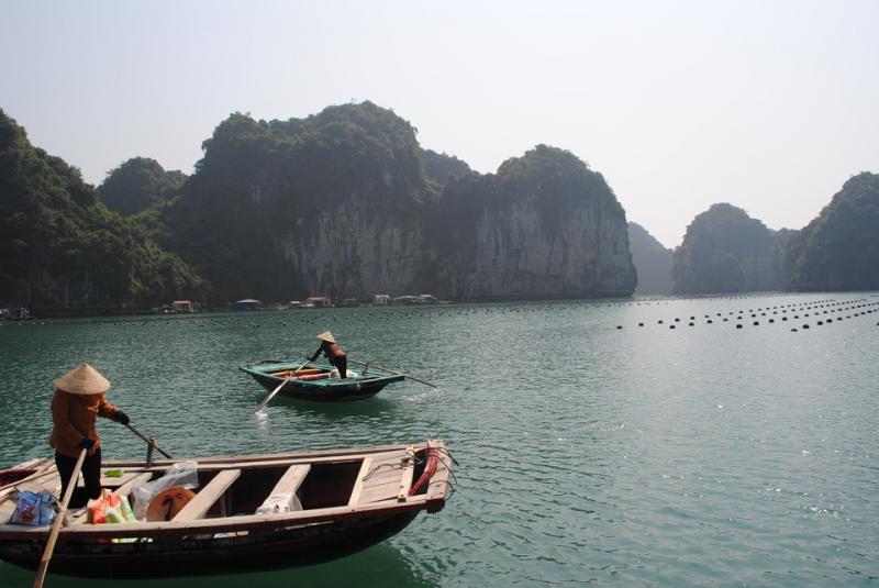 Κίνα: Ψαράδες αποχωρίζονται τα καΐκια τους για να προστατέψουν τη θαλάσσια ζωή λόγω υπεραλίευσης