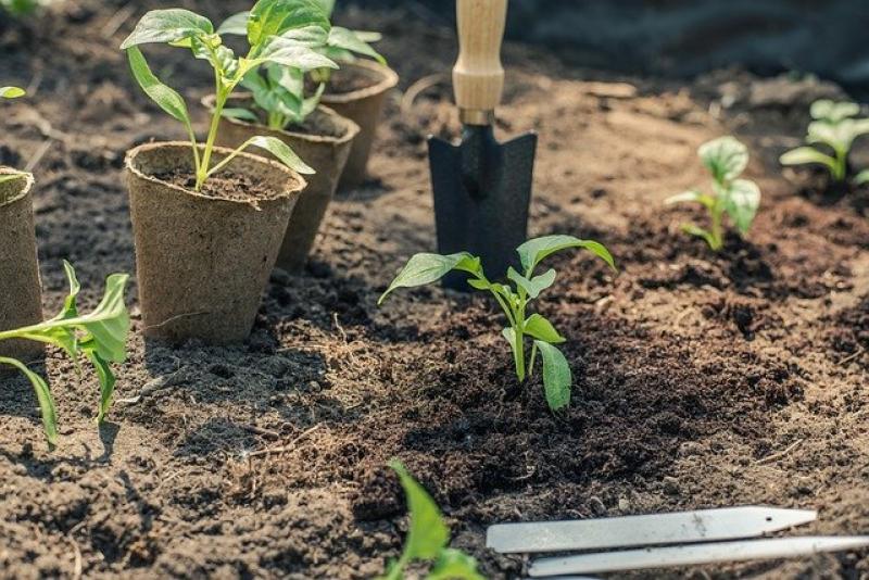 Αραχωβίτης: Αλλαγή του τρόπου κατηγοριοποίησης των κηπευτικών καλλιεργειών για την ένταξη στο Υπομέτρο 6.1. “Εγκατάσταση νέων Γεωργών”