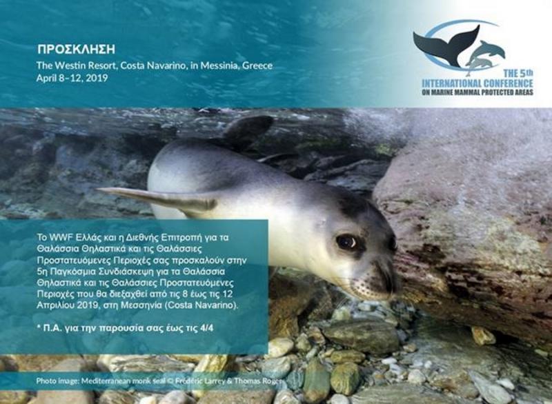 WWF: Στην Costa Navarino η Παγκόσμια Συνδιάσκεψη για τα Θαλάσσια Θηλαστικά