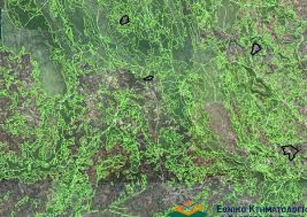 Οι αντιρρήσεις των Οικολόγων Πράσινων για τις τροποποιήσεις σχετικά με τους δασικούς χάρτες